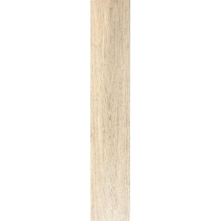 FISSORE.com BOIS SANT'AGOSTINO GEA 20X120 RETT (STOCK DPF)