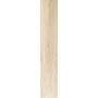 FISSORE.com BOIS SANT'AGOSTINO GEA 20X120 RETT (STOCK DPF)