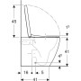 GEBERIT ICÔNE DE WC À POSER RIMFREE AVEC SIEGE SLIM SOFT CLOSE