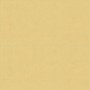 ABK WIDE & STYLE MINI GINGER 60X120 RECTIFIÉ