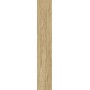 SANT'AGOSTINO CERAMICHE SUNWOOD NATUREL NATURAL 10X60 RECTIFIÉ - 9MM