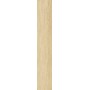 SANT'AGOSTINO CERAMICHE SUNWOOD HONEY NATUREL 20X120 RECTIFIÉ - 9MM