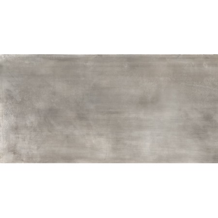 TUSCANIA CERAMICA LES ALLOYS PLATINE 61X122,2 RECT