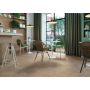 ATLAS CONCORDE DIESIS BEIGE MATT 60X60 RECTIFIÉ