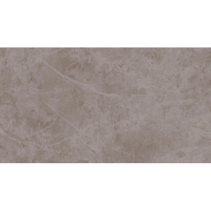 ATLAS CONCORDE EXIGO JOLIE GRAY LUCIDE 30.5X56 RECTIFIÉ