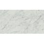 ATLAS CONCORDE EXIGO CARRARA LUCIDE 30.5X56 RECTIFIÉ