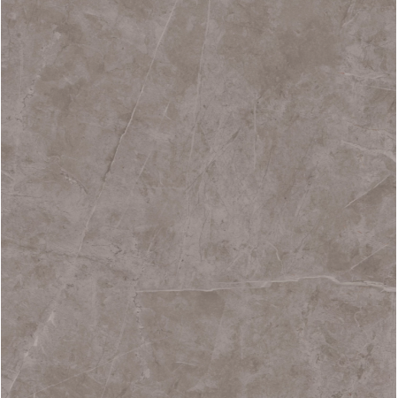 ATLAS CONCORDE EXIGO JOLIE GREY MATT 60X60 RECTIFIÉ
