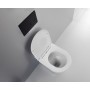 FISSORE.com ENSEMBLE SKY VASQUE + BIDET MONTÉ EN MUR AVEC BRIDE INCLUS SOUS-COUCHE SOFT CLOSE