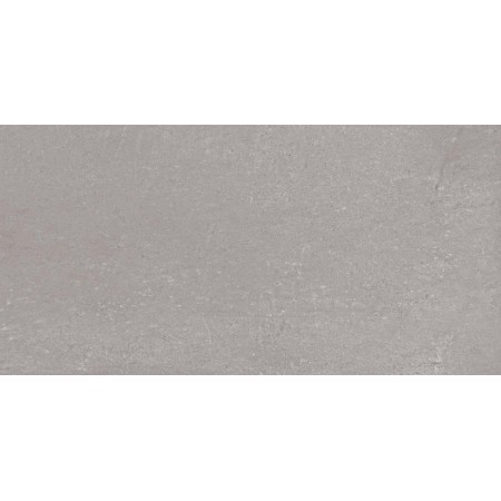 RAGNO CERAMICHE REWIND POUDRE 30X60 RECTIFIÉ