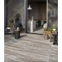 TUSCANIA CERAMICA VENT NORD GRIS 20,2X122,2 RETT EXTÉRIEUR