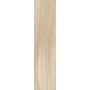 TUSCANIA CERAMICA BOIS DE NORD OAK 26X160 RETT