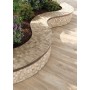 TUSCANIA CERAMICA MOSAÏQUE MIXTE VENT NORD MARRON/CHÊNE 30X30