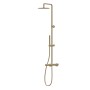 NEWFORM COLONNE DE DOUCHE CORPS FROID AVEC MITIGEUR THERMOSTATIQUE