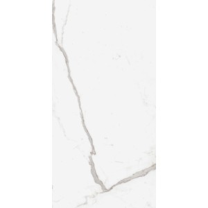 RAGNO CERAMICHE INCANTO STATUARY VEINED GLOSSY 60X120