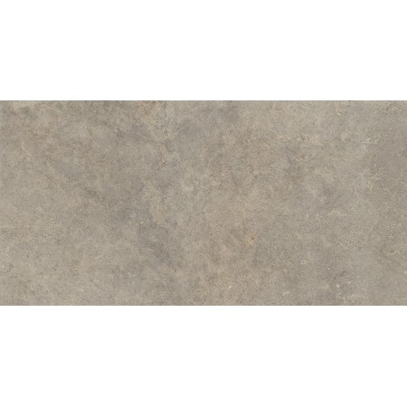 RAGNO CERAMICHE RICHMOND MUSK STRUCTURÉ 60X120 RECT.