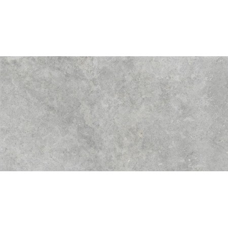 RAGNO CERAMICHE RICHMOND ARGENT STRUCTURÉ 60X120 RECT.