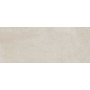RAGNO CERAMICHE REMPLACER TORTORA 20X50