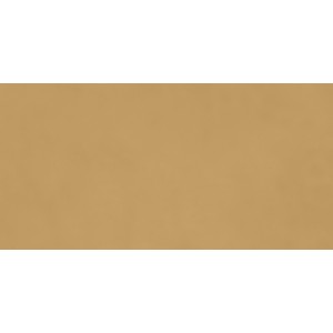 RAGNO CERAMICHE DÉCOR MOUTARDE 60X120 RET