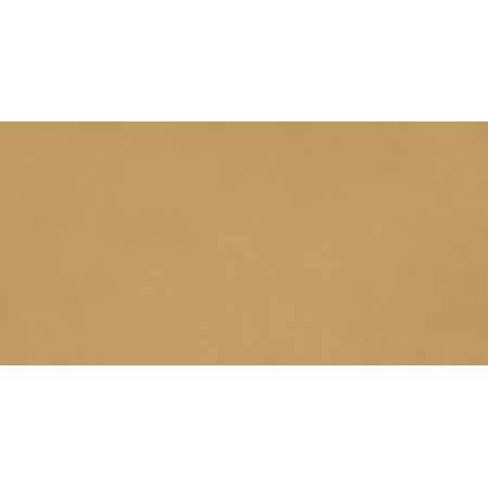 RAGNO CERAMICHE DÉCOR MOUTARDE 60X120 RET