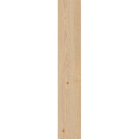 RAGNO CERAMICHE SECRET BEIGE EXTÉRIEUR 20X120 RET