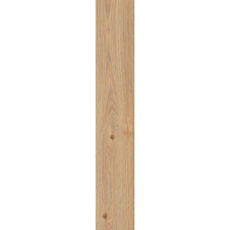 RAGNO CERAMICHE SECRET NATUREL EXTÉRIEUR 20X120 RET