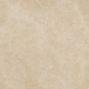 RAGNO CERAMICHE REALSTONE ARGENT MIEL 120X120 6mm RET