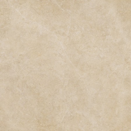 RAGNO CERAMICHE REALSTONE ARGENT MIEL STRUCTURÉ 120X120 6mm RET