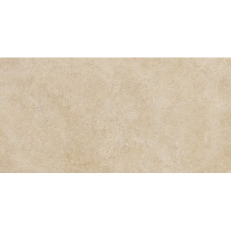 RAGNO CERAMICHE REALSTONE ARGENT MIEL 60X120 6mm RET
