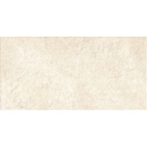 RAGNO CERAMICHE REALSTONE ARGENT AVORIO STRUCTURÉ 60X120 RET