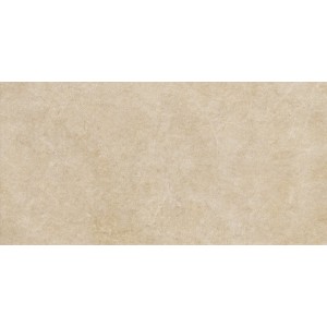RAGNO CERAMICHE REALSTONE ARGENT MIEL STRUCTURÉ 60X120 RET