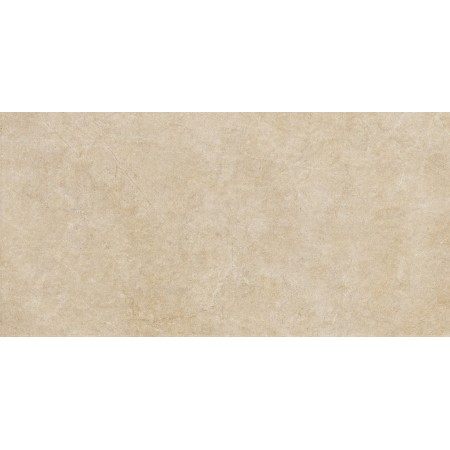 RAGNO CERAMICHE REALSTONE ARGENT MIEL STRUCTURÉ 60X120 RET