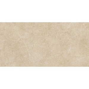 RAGNO CERAMICHE REALSTONE ARGENT MIEL 30X60 RET