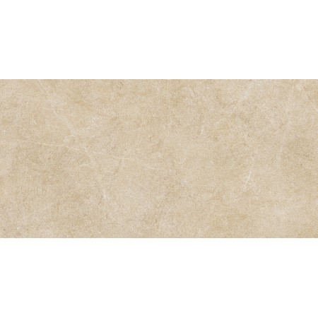 RAGNO CERAMICHE REALSTONE ARGENT MIEL 30X60 RET