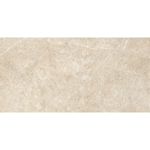 RAGNO CERAMICHE REALSTONE ARGENT SABLE 30X60 RET