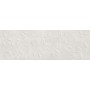 RAGNO CERAMICHE MIXTE BLANC STRUCTURE BRANCHE 3D 40X120 RET
