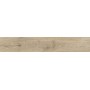 RAGNO CERAMICHE OSSIMORI IVOIRE 20X120 RETT