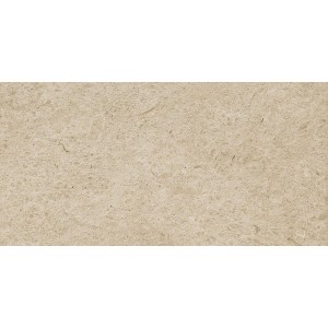 RAGNO CERAMICHE ETERNA GREIGE 30X60 RET