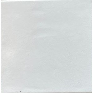 FISSORE.com SENIO J1351 BLANC MAT 20X20 (DPF)