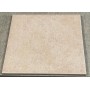 FISSORE.com IMOLA SIENA DM 20X20 (STOCK DPF)