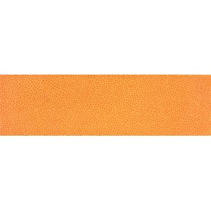 FISSORE.com EGEAERA MIX JEU PLEIN ORANGE 10X30 (STOCK DPF)