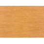 FISSORE.com LA GULIA TOMBE ORANGE 25X33.3 RV (STOCK DPF)