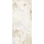 REVES REVE PERLE GLOSSY 80X180