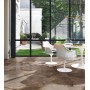 REVES REVE CHOCO GLOSSY 60X120