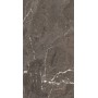 HERITAGE LUXE BROWN GLOSSY 60X120