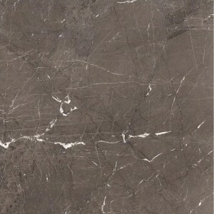 HERITAGE LUXE BROWN GLOSSY 120X120 - 6MM