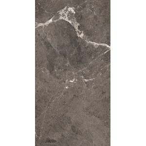 HERITAGE LUXE BROWN GLOSSY 60X120 - 6MM