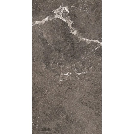 HERITAGE LUXE BROWN GLOSSY 60X120 - 6MM