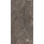 HERITAGE LUXE BROWN GLOSSY 60X120 - 6MM
