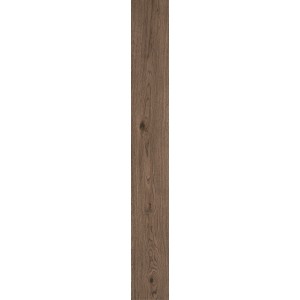 VIVO CASTANO 22.5X180 Rectifié