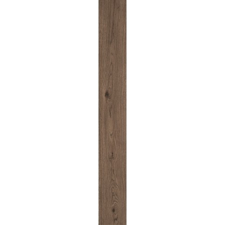 VIVO CASTANO 22.5X180 Rectifié